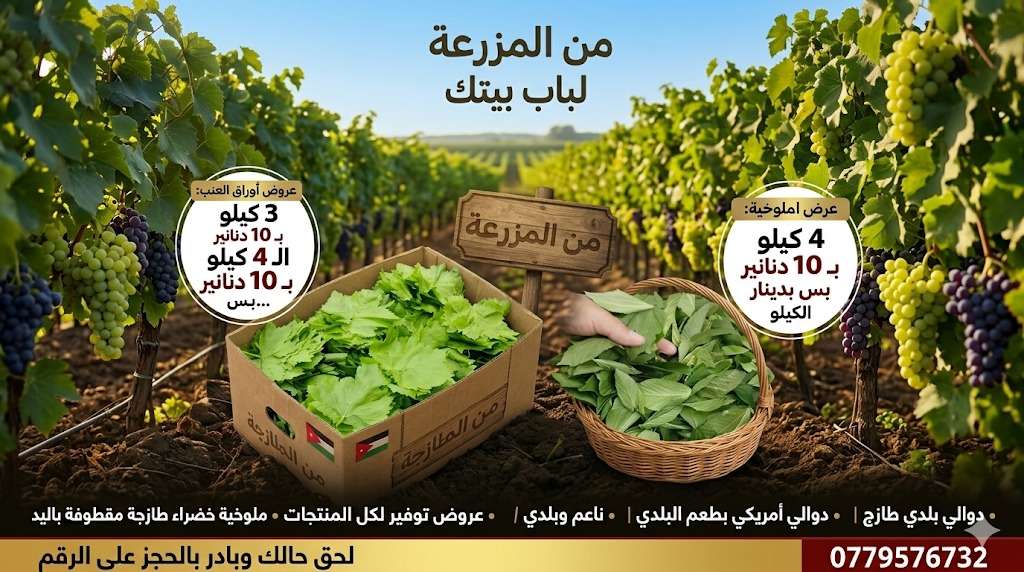 من المزرعة لباب بيتك مباشرة! أطيب دوالي وملوخية بأسعار التوفير