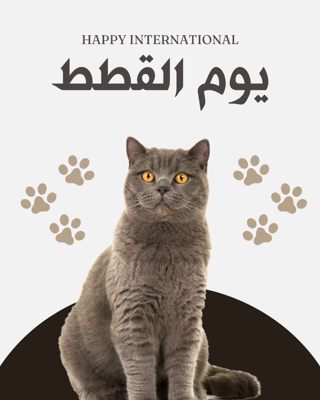 🐾 أفضل متجر مستلزمات الحيوانات الأليفة في عمان – أكل، رمل، وأدوية قطط بأسعار مميزة