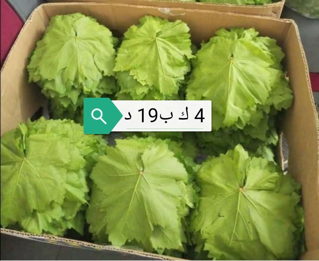 عرض مميز: 4 كيلو ورق دوالي بلدي فقط بـ19 دينار – توصيل لجميع المحافظات!