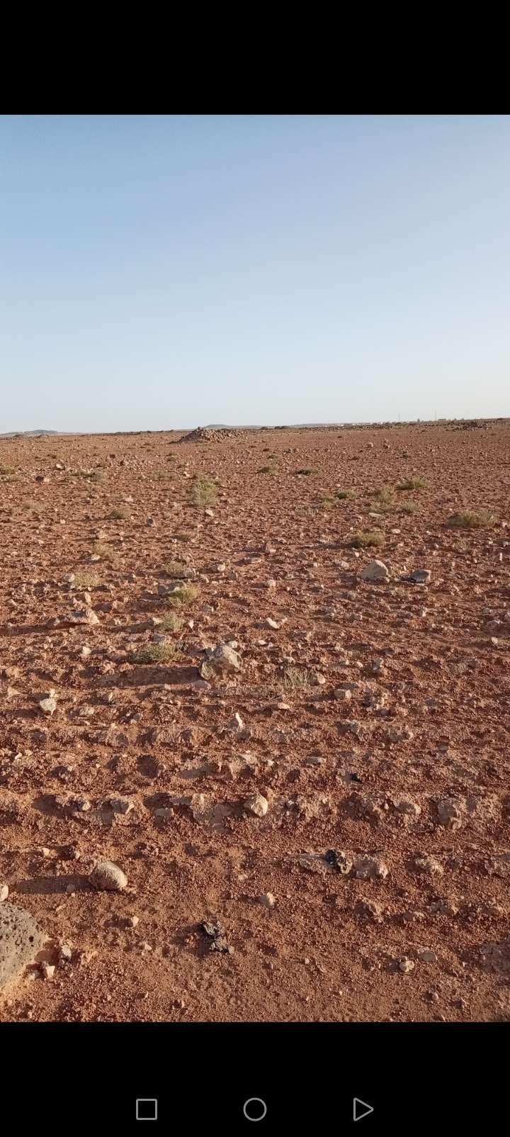 قطع اراضي للبيع قرية الاشرفيه ودير الكهف كل ١٠دنم كوشان مستقل كامل القطعه الفين دينار شامل رسوم 