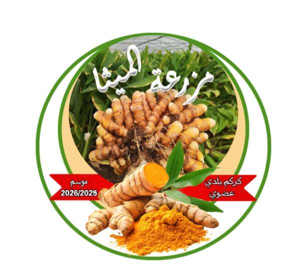 كركم بلدي عضوي طبيعي 100% | مزرعة الميثا للجودة والصحة