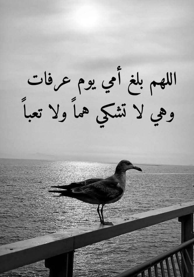 خليل الكردي