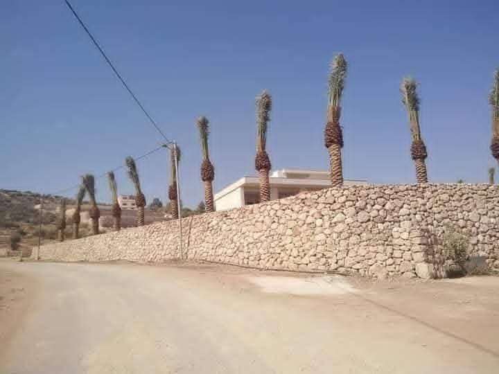 مقاولات السيلاوي السيلاوي