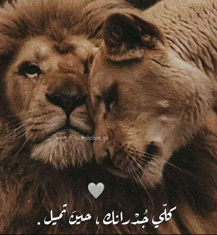lana Abdallh